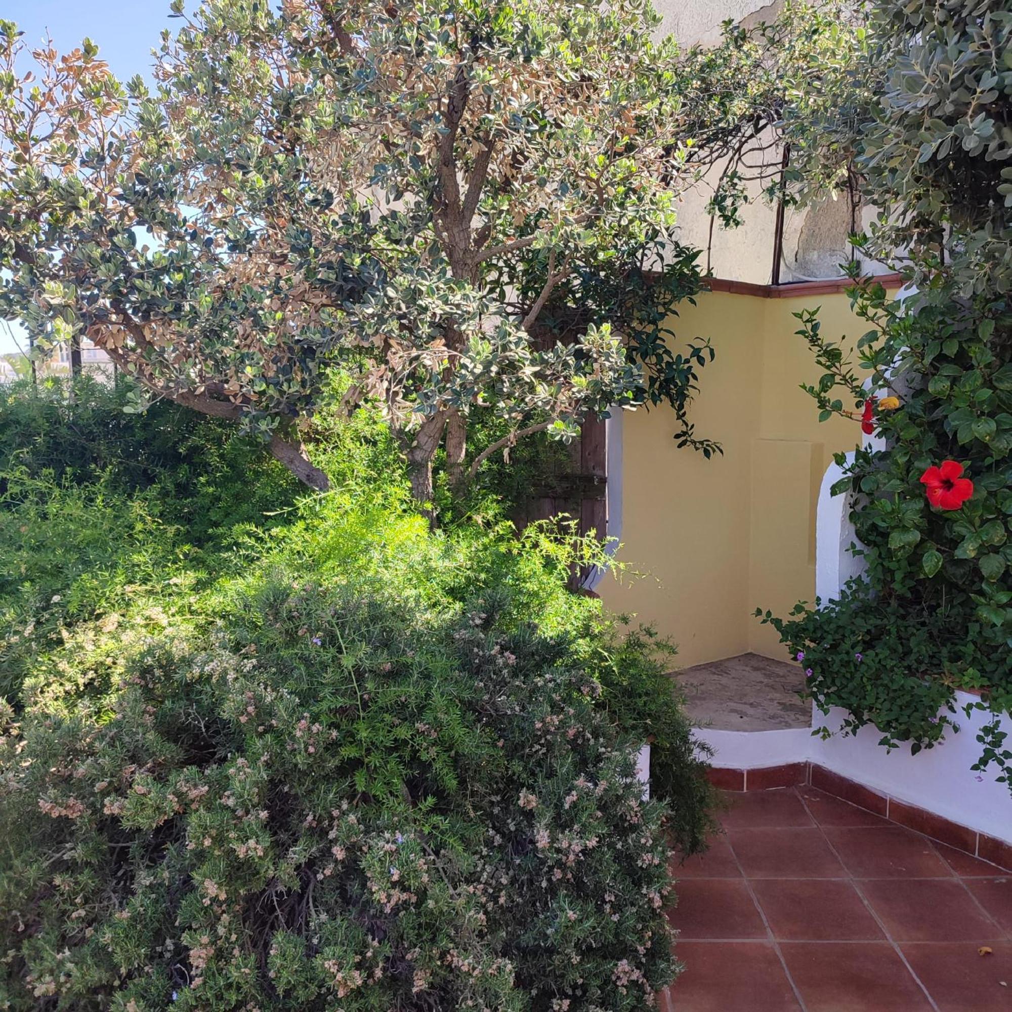 Hotel Villa Verde Forio di Ischia Екстериор снимка